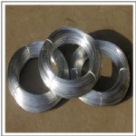 Electro Galvanized Wire